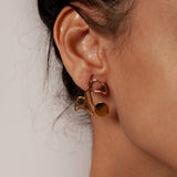 Elsworth Earrings in Gold