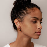 Elsworth Earrings in Gold